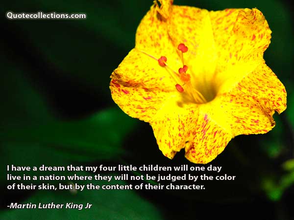 Martin Luther King, Jr. quotes4
